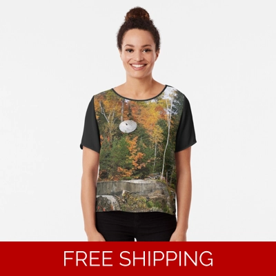 Le Studio Chiffon Top Satellite Dish Fall 2019 Le Studio Chiffon Top Satellite Dish Fall 2019